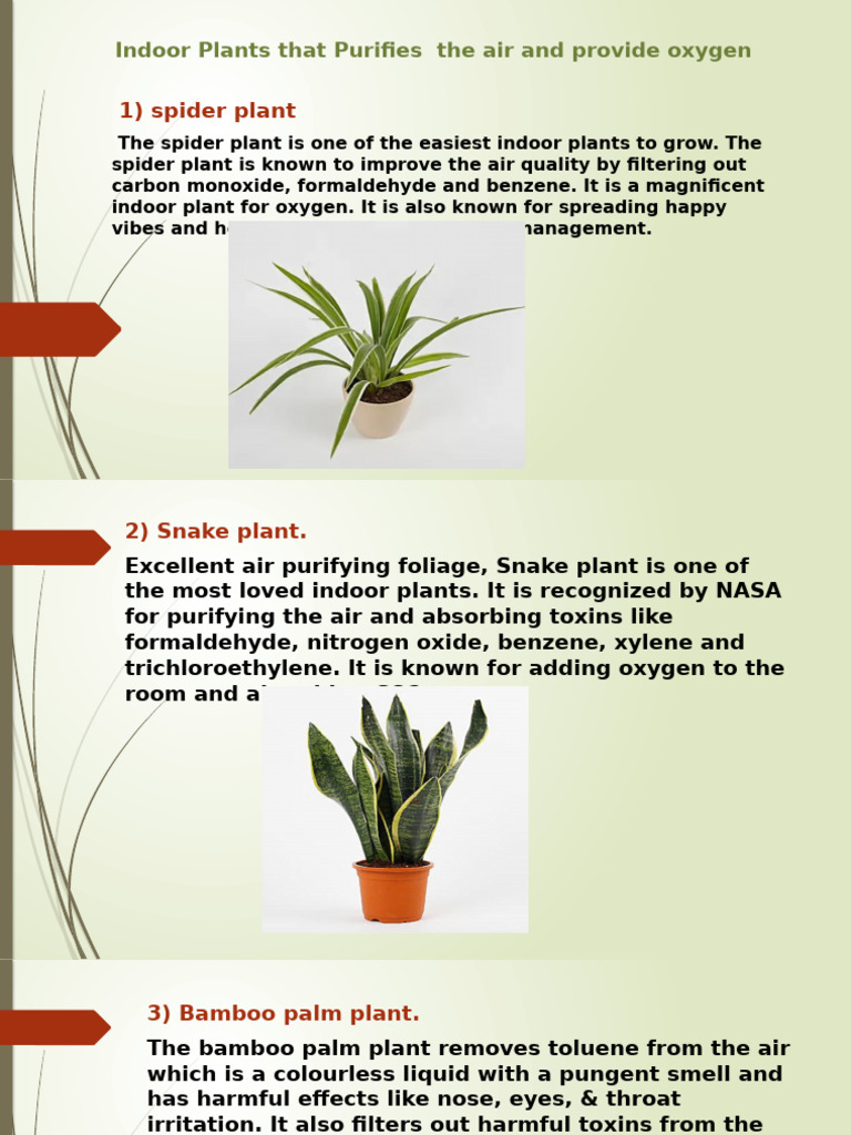Best Indoor Plants for Air Purification | PDF | Houseplant | Atmosphere Of  Earth