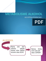 metabolisme alkohol