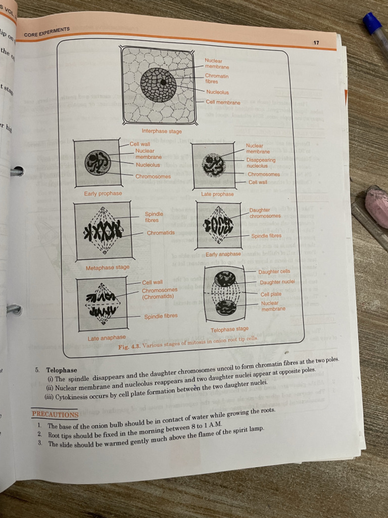 Lab Manual | PDF