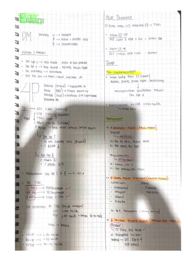 DM | PDF