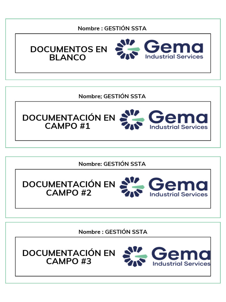Gestión SSTA: Documentación y Campos | PDF