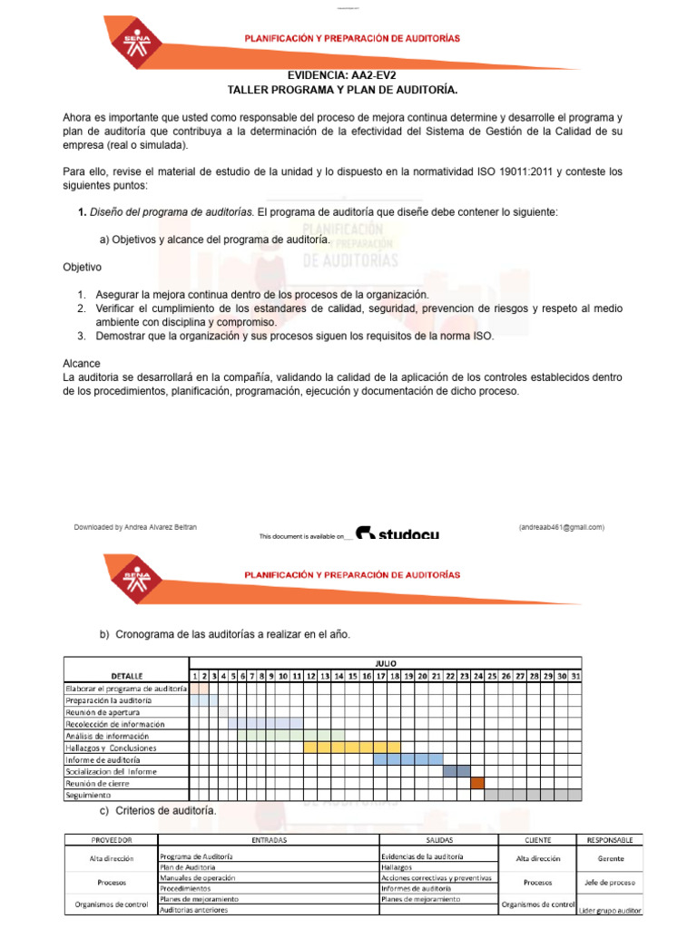 Programa y Plan de Auditoría ISO 19011 | PDF | Auditoría | Calidad ...