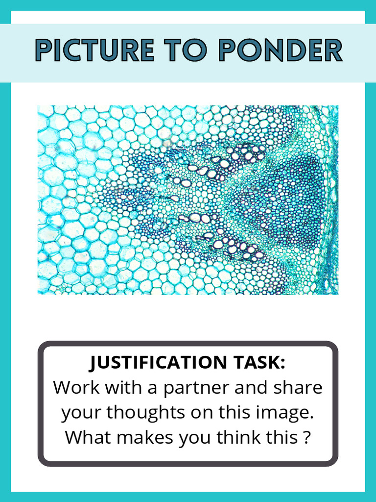 Picture To Ponder Justification Thinking Routine | PDF