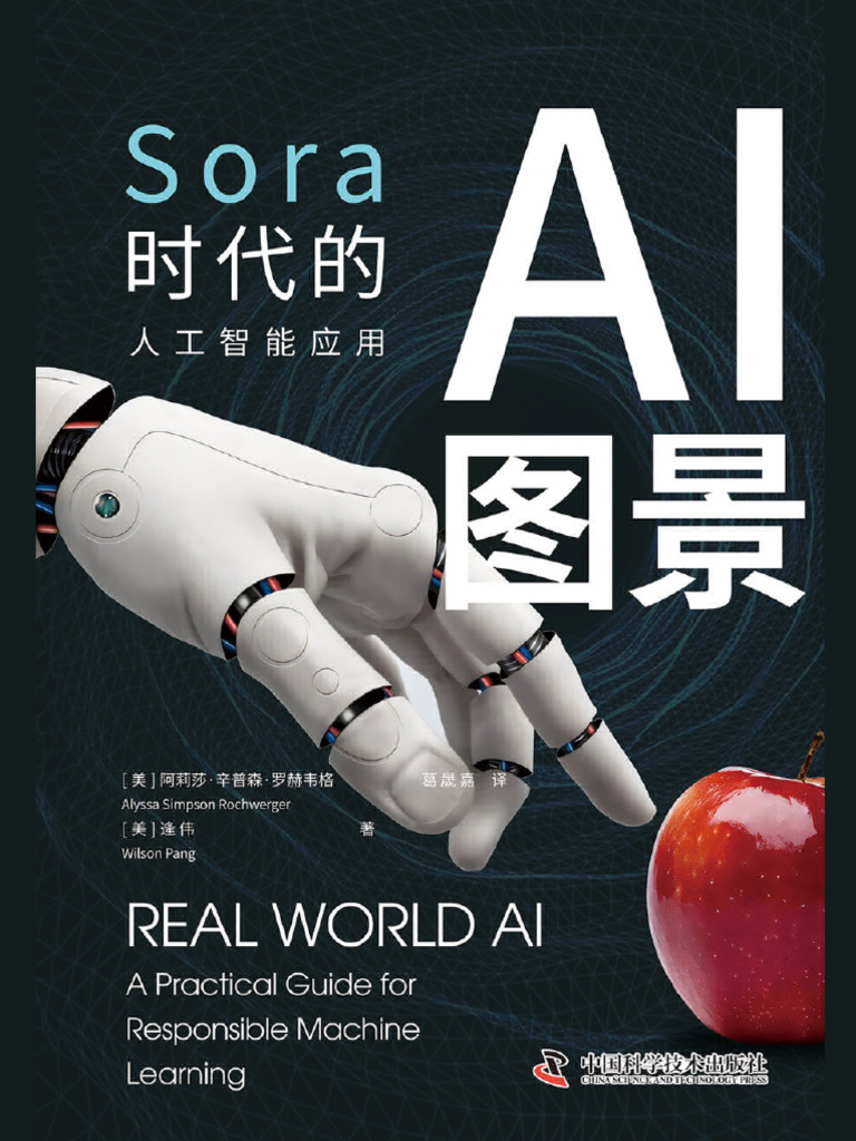 AI图景：Sora时代的人工智能应用》阿莉莎·辛普森·罗赫韦格| PDF, image size:768x1024