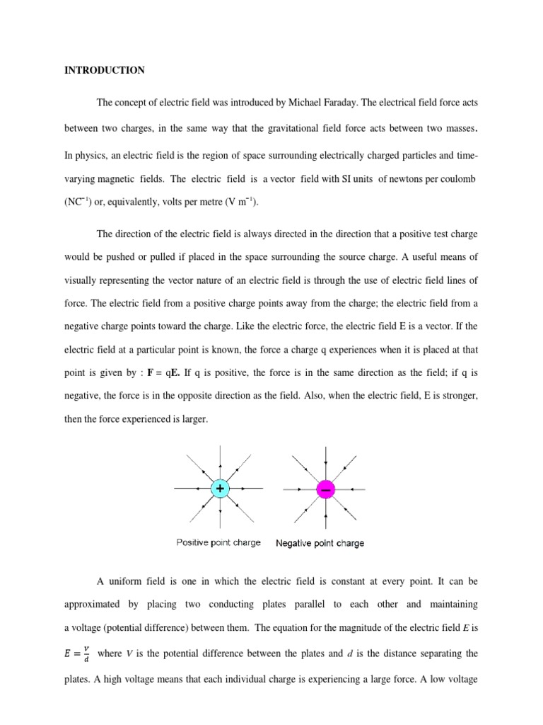 Laboratory Report Physics Electric Field Electric Field Electric Charge