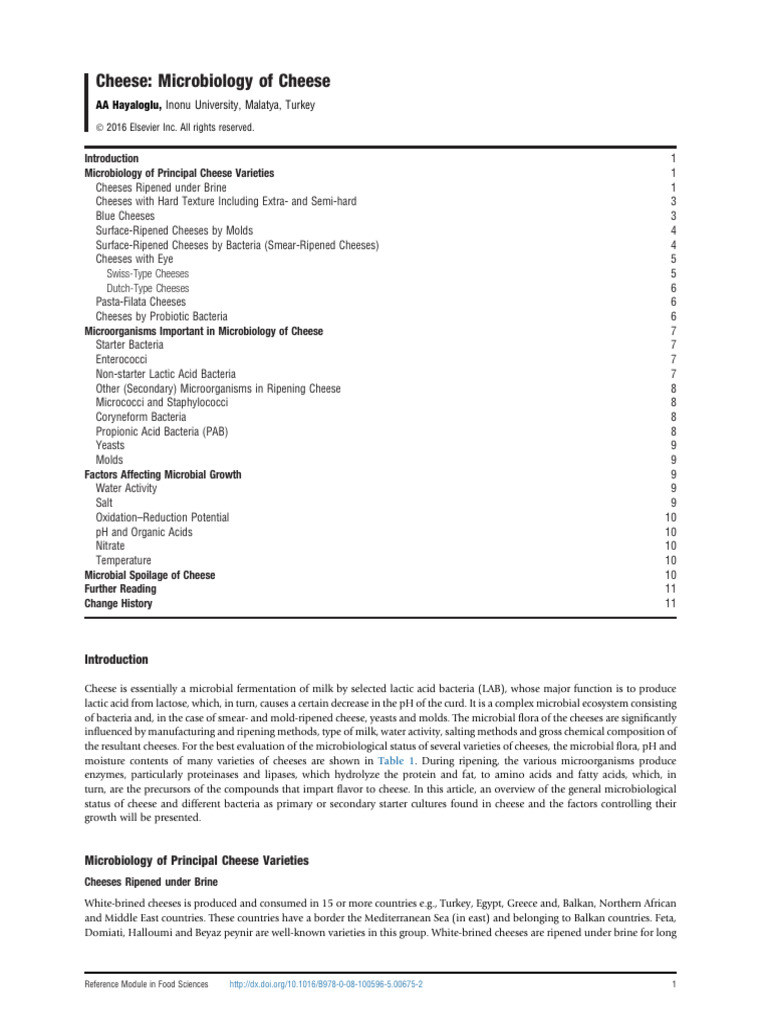 Cheese Microbiology of Cheese | PDF | Lactobacillus | Cheese