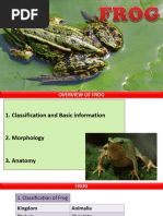 Frogs+and+Humans ORGANS+&+Organs+System | PDF | Human Digestive System ...