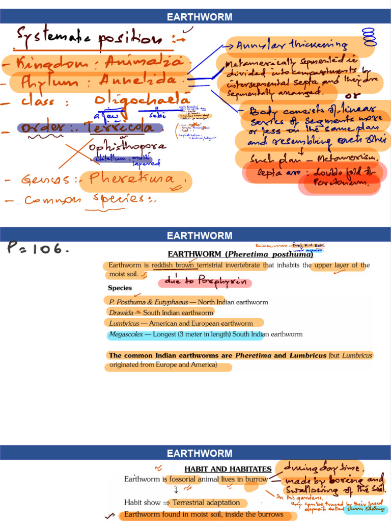 Earthworm Anatomy and Reproduction | PDF | Zoology | Biology
