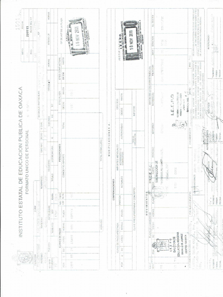 PDG Formato Unico | PDF
