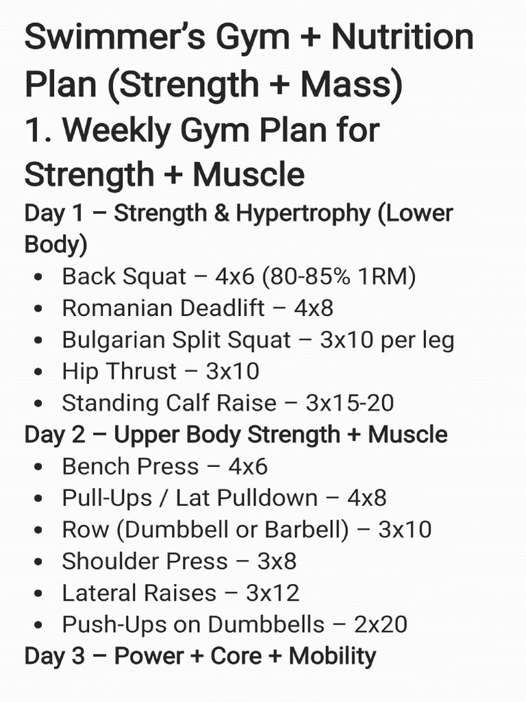 Training Plan For Swimming | PDF