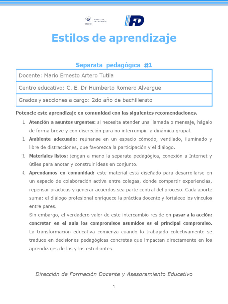 Estrategias para Estilos de Aprendizaje | PDF | Aprendizaje | Maestros