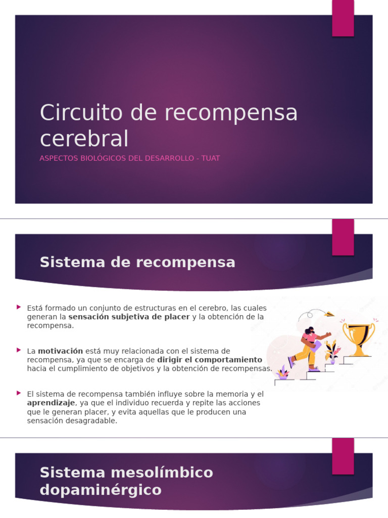 Circuito Mesolímbico y Recompensa Cerebral | PDF