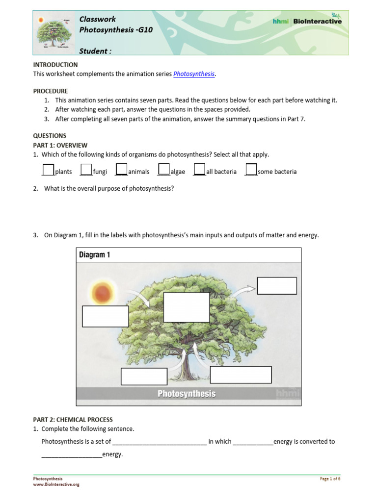 Photosynthesis Student Worksheet Guide | PDF | Photosynthesis | Biology