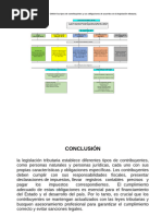 Tipos de Contribuyentes y Sus Obligaciones | PDF | Impuestos | Contabilidad