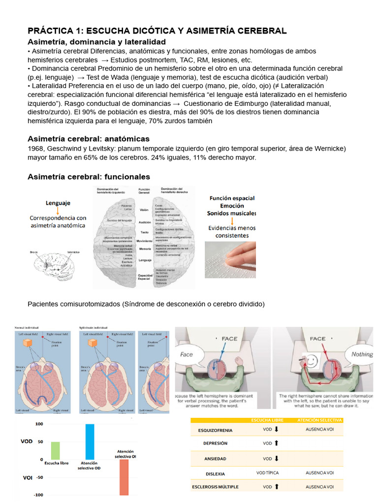 Escucha Dicótica y Asimetría Cerebral | PDF | Cerebro | Hemisferio cerebral