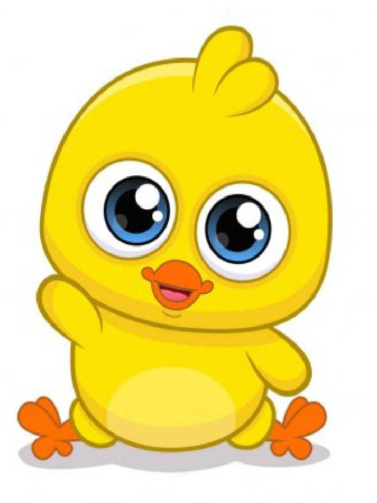 Pollito | PDF