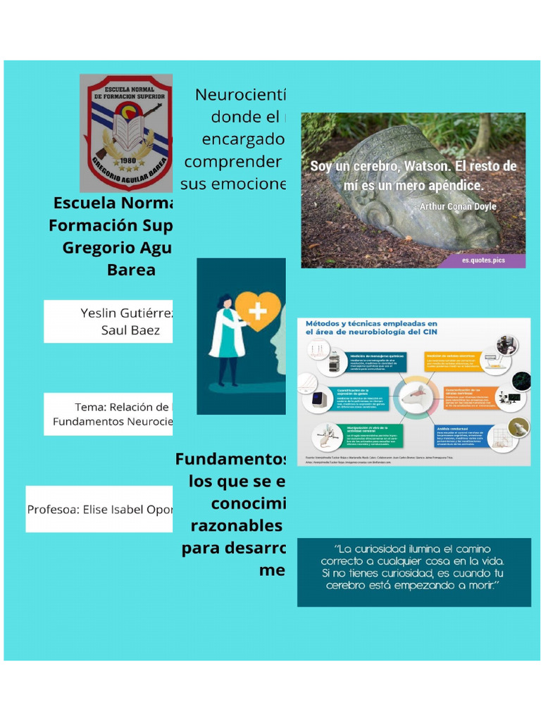 Neuro Cientific Os | PDF
