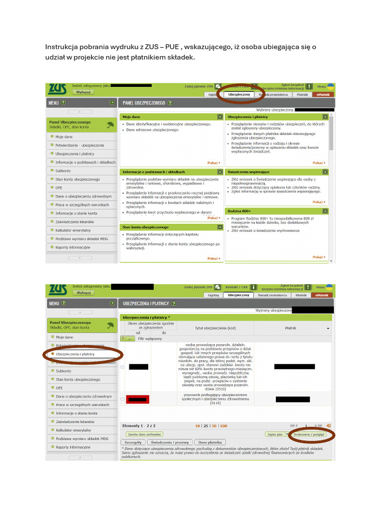 Instrukcja Zus Pue | PDF