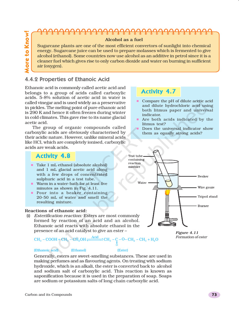 Science 8th Chapter1 | PDF | Acid | Ethanol