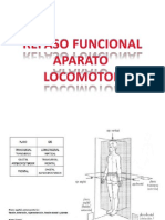 Repaso Fund 1ºev