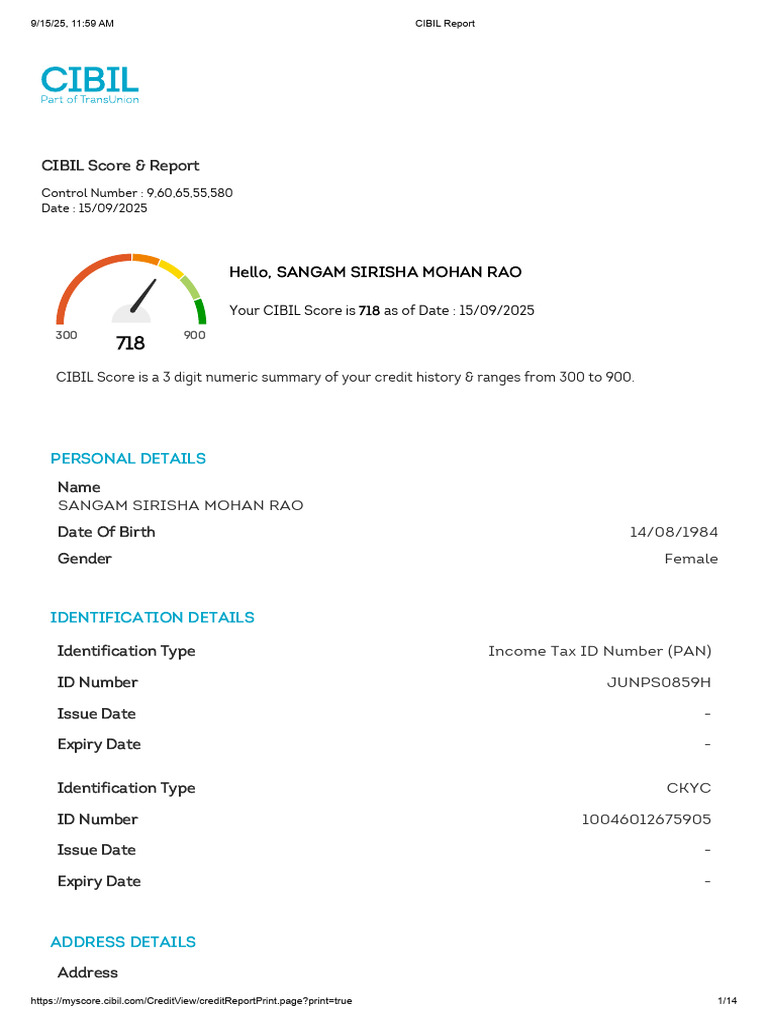 CIBIL Credit Report Summary for Sangam | PDF | Credit | Finance & Money ...