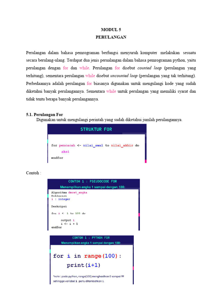 Panduan Perulangan Python: For & While | PDF