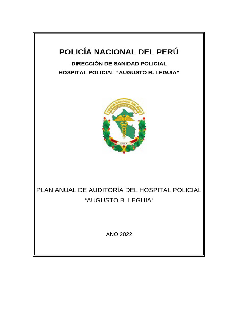 Plan Anual de Auditoría 2022 - Hospital Policial | PDF | Auditoría ...