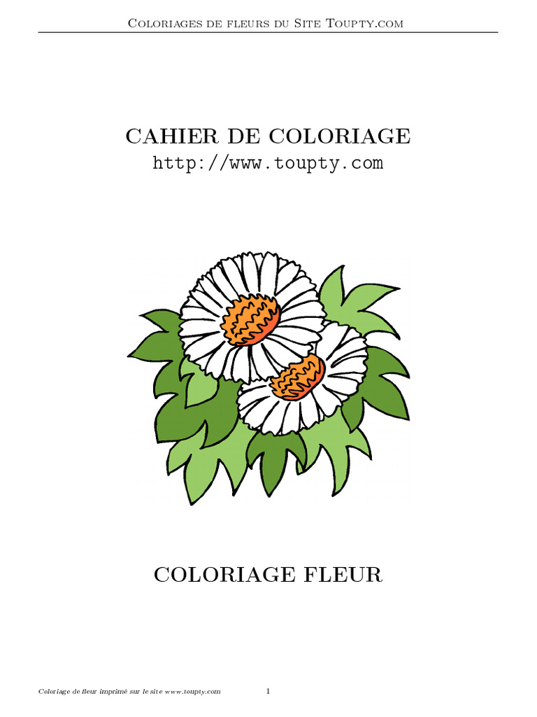 Coloriages de fleurs à imprimer gratuits | PDF