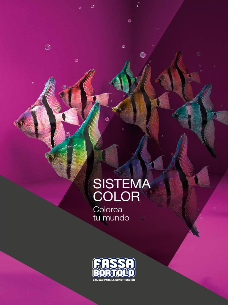Sistema Color Fassa Bortolo: Guía Completa | PDF | Compuesto orgánico ...