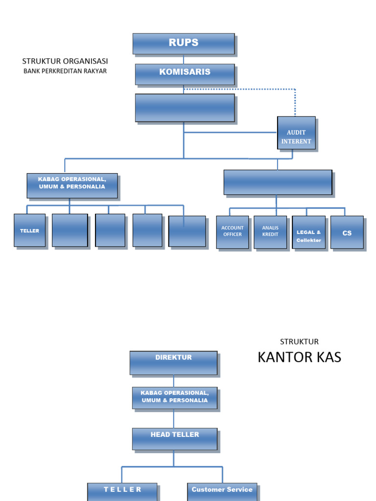 Struktur Organisasi Bpr Dan Tugasnya Pdf