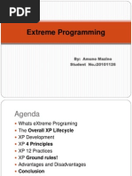 Extreme Programming: By: Amuno Mazino Student No.:20101126