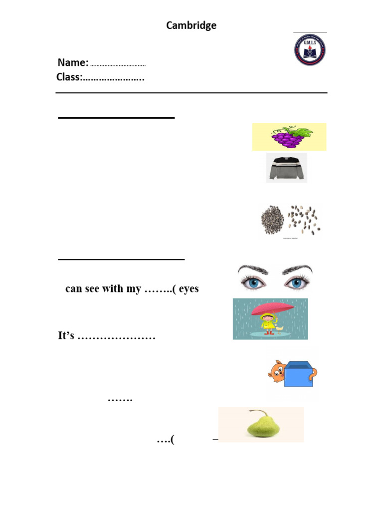 منهج كامبردج KG2 PDF | PDF