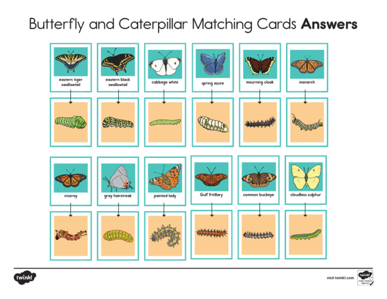 answer-key-butterfly-and-caterpillar-matching-cards-activity-pdf