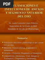 Prosp Quidex Ungüento | PDF | Corticosteroides | Medicamentos con receta