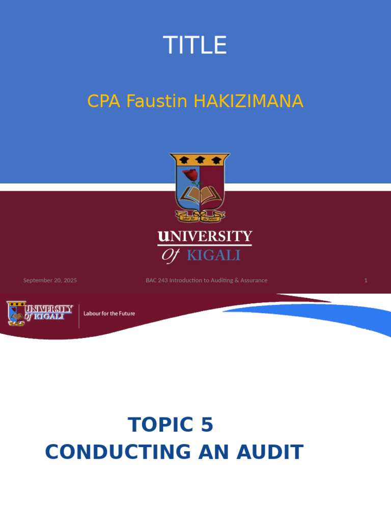 Audit Planning and Execution Guide | PDF | Audit | Internal Control