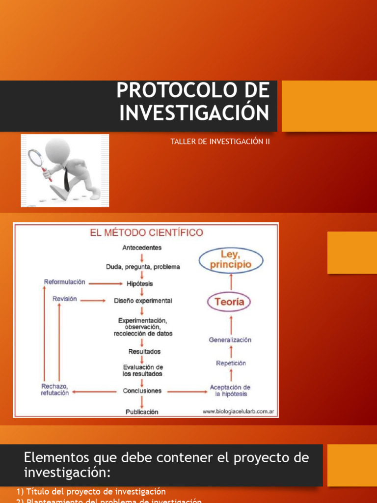 Elementos Clave para un Proyecto de Investigación | PDF | Hipótesis ...