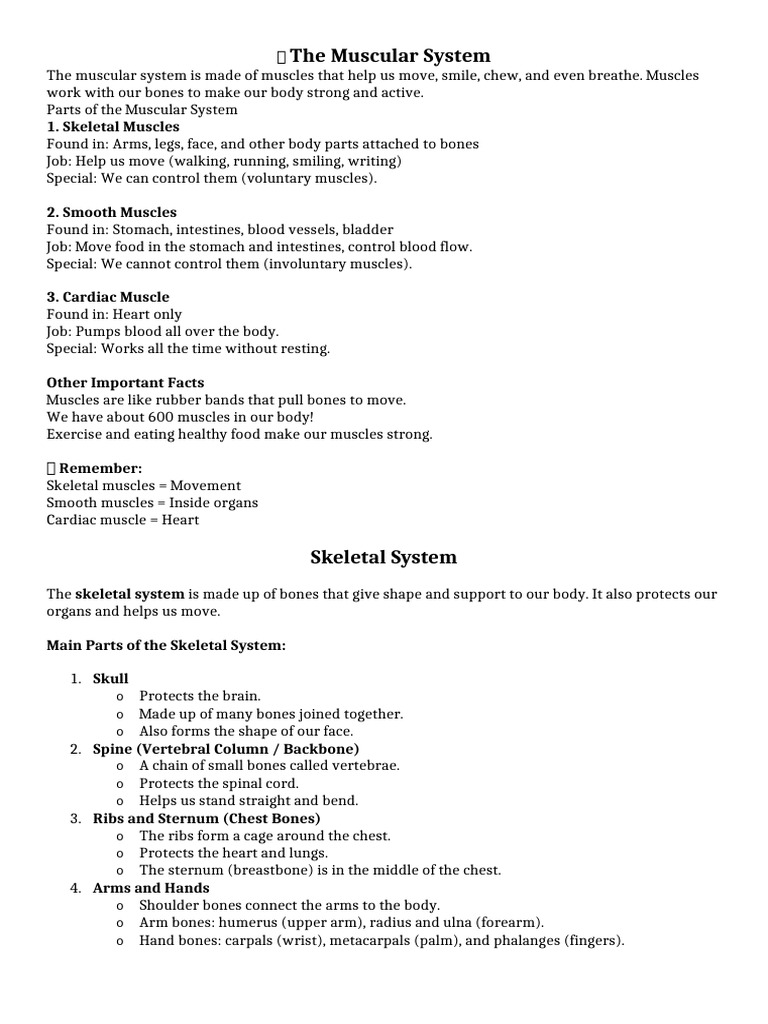Overview of Human Body Systems | PDF | Lung | Human Body