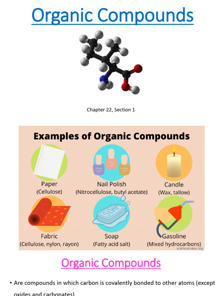 Understanding Organic Compounds | PDF | Isomer | Molecules