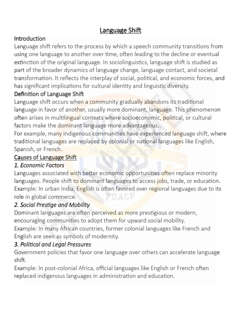 Understanding Language Shift Dynamics | PDF | Attitude (Psychology ...