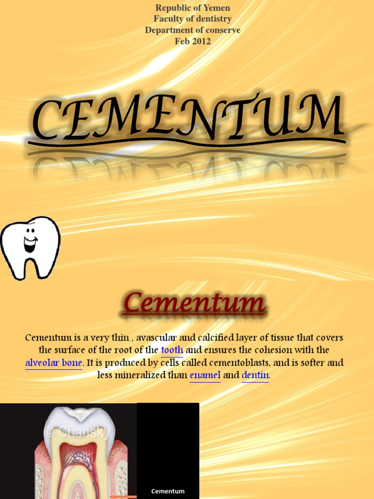 Cementum PDF Dentin Human Tooth