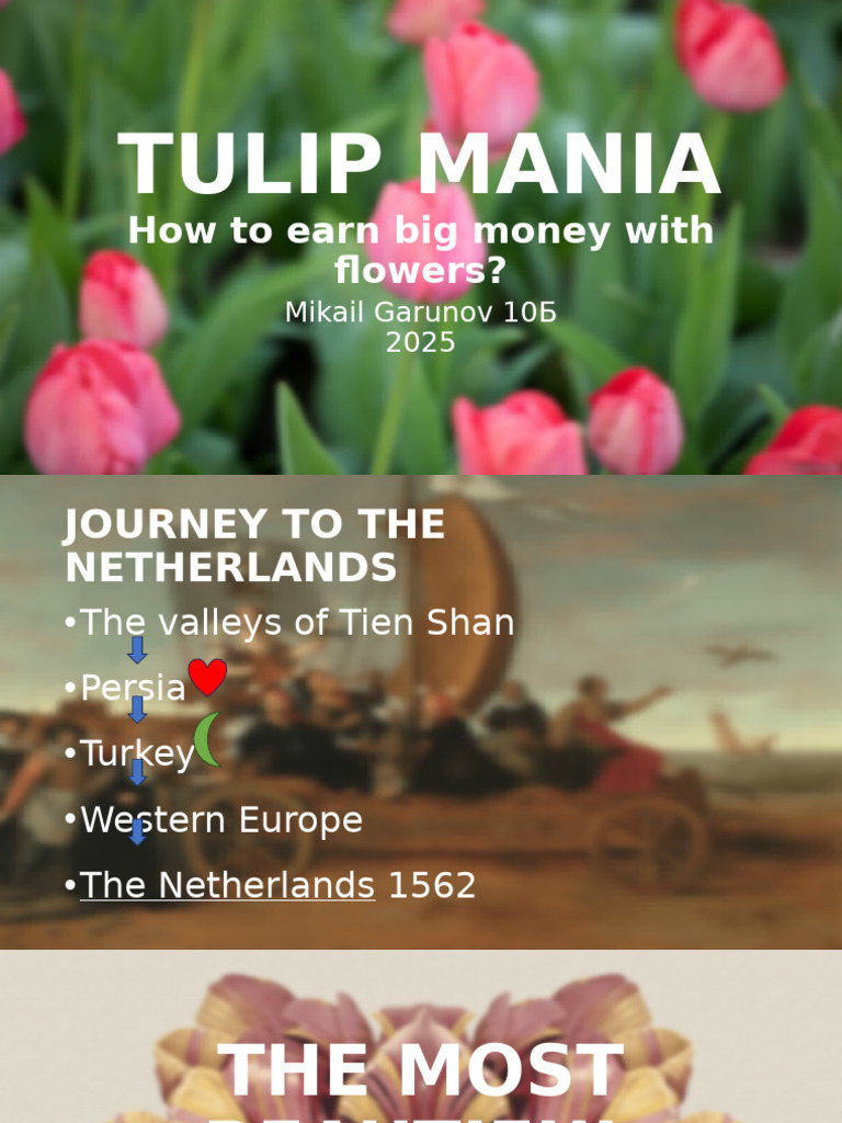 Tulip Mania: The Flower Bubble Explained | PDF