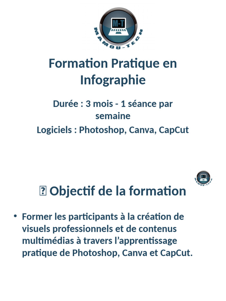 Formation Pratique en Infographie | PDF