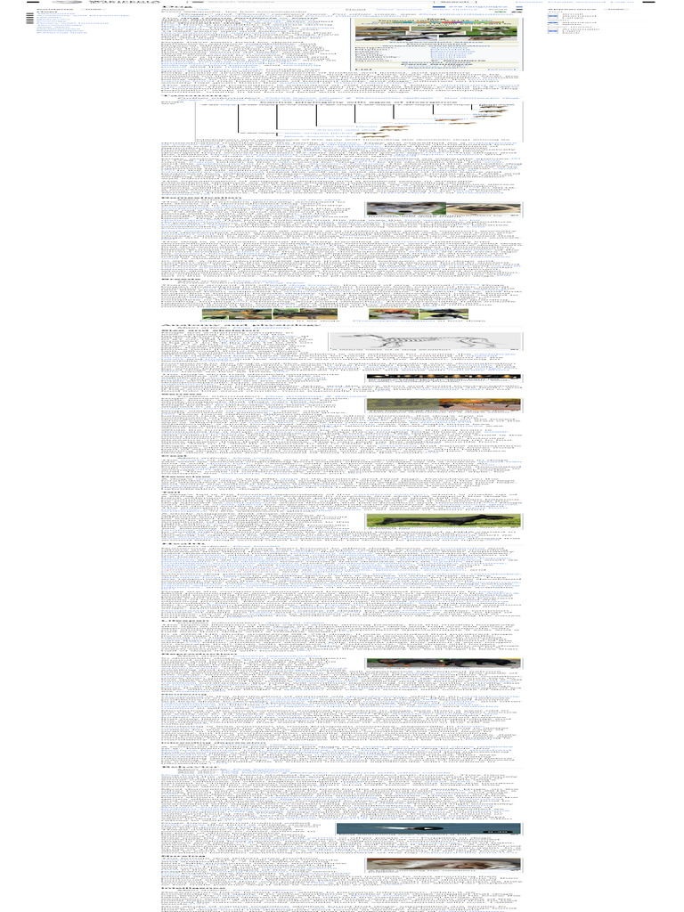 Overview of Domestic Dogs on Wikipedia | PDF | Dogs | Neutering