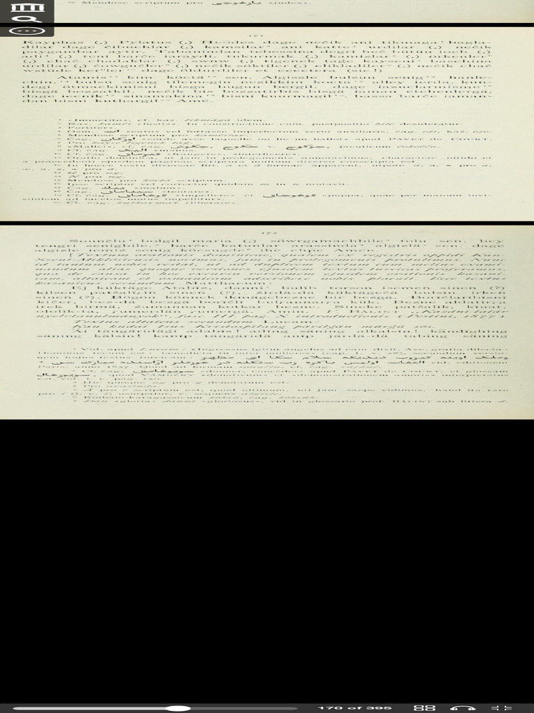 Codex Cumanicus, Bibliothecae Ad Templum Divi Marci Venetiarum Primum ...