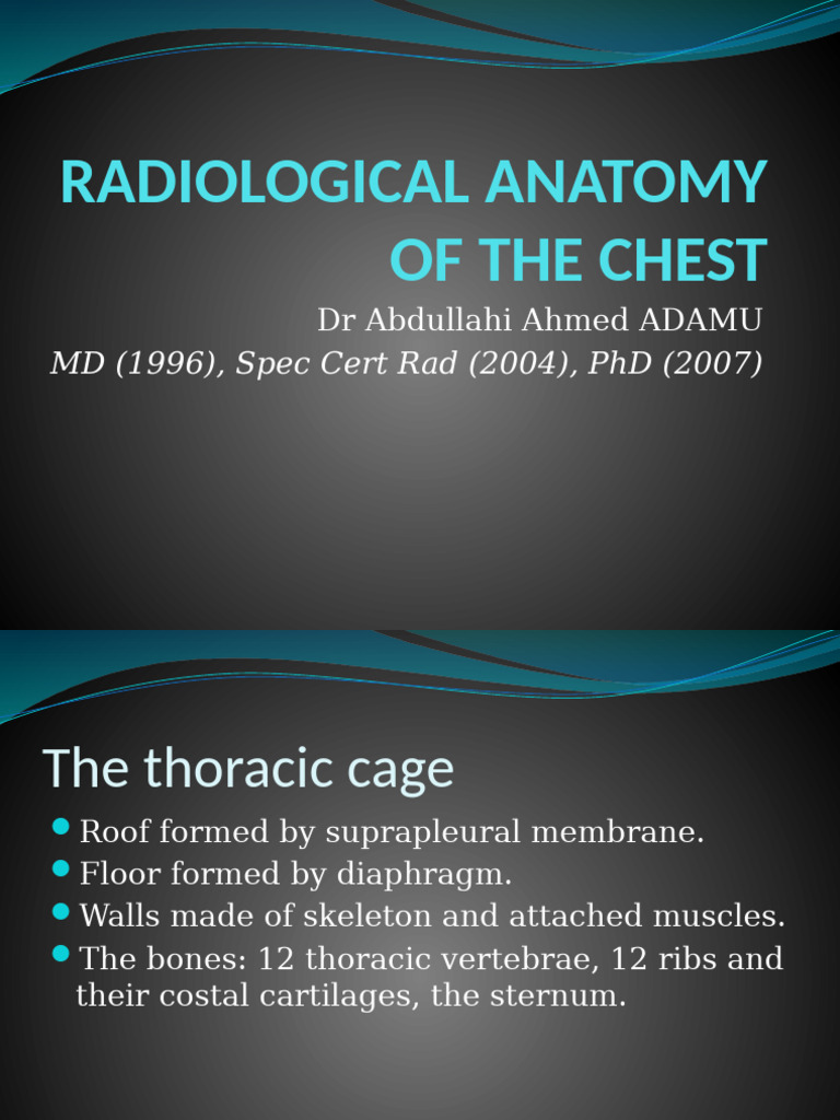 Chest Radiological Anatomy Guide | PDF | Thorax | Lung