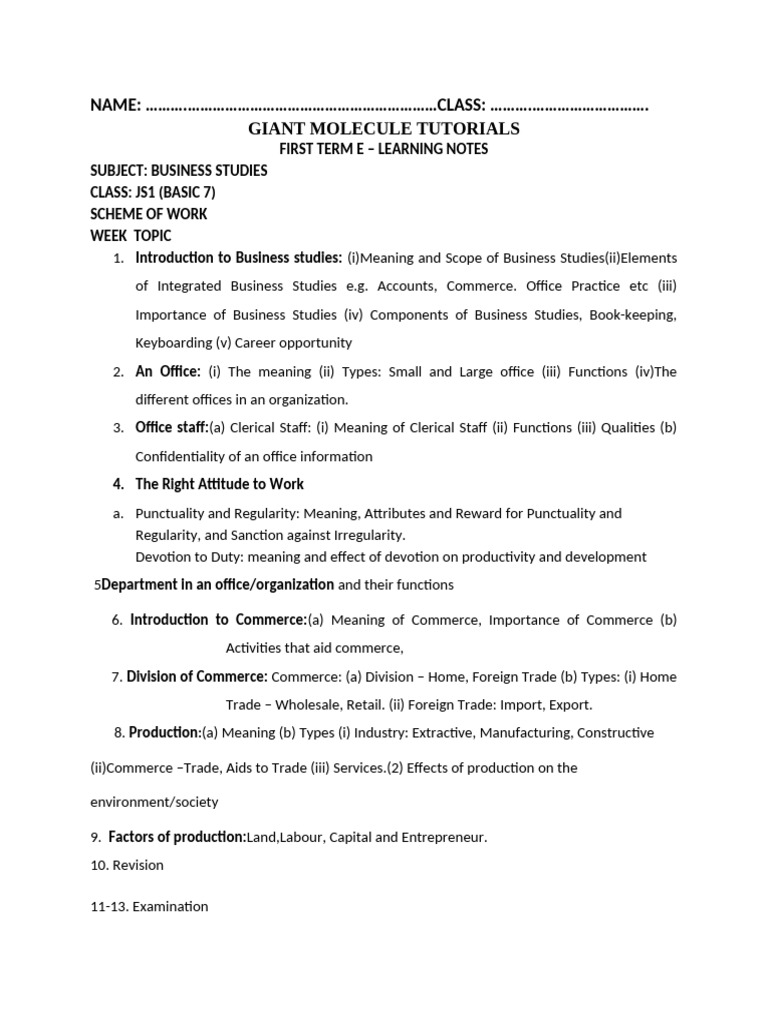 Business Studies E-Learning Notes | PDF | Commerce | Bookkeeping