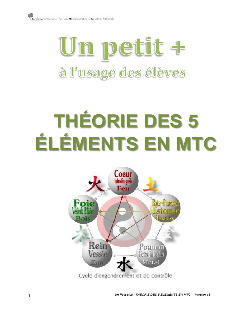 Théorie des 5 Éléments en MTC | PDF | Médecine traditionnelle chinoise ...