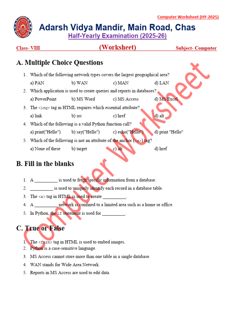 Computer Worksheet for Class VIII Exam | PDF | Microsoft Access | Databases
