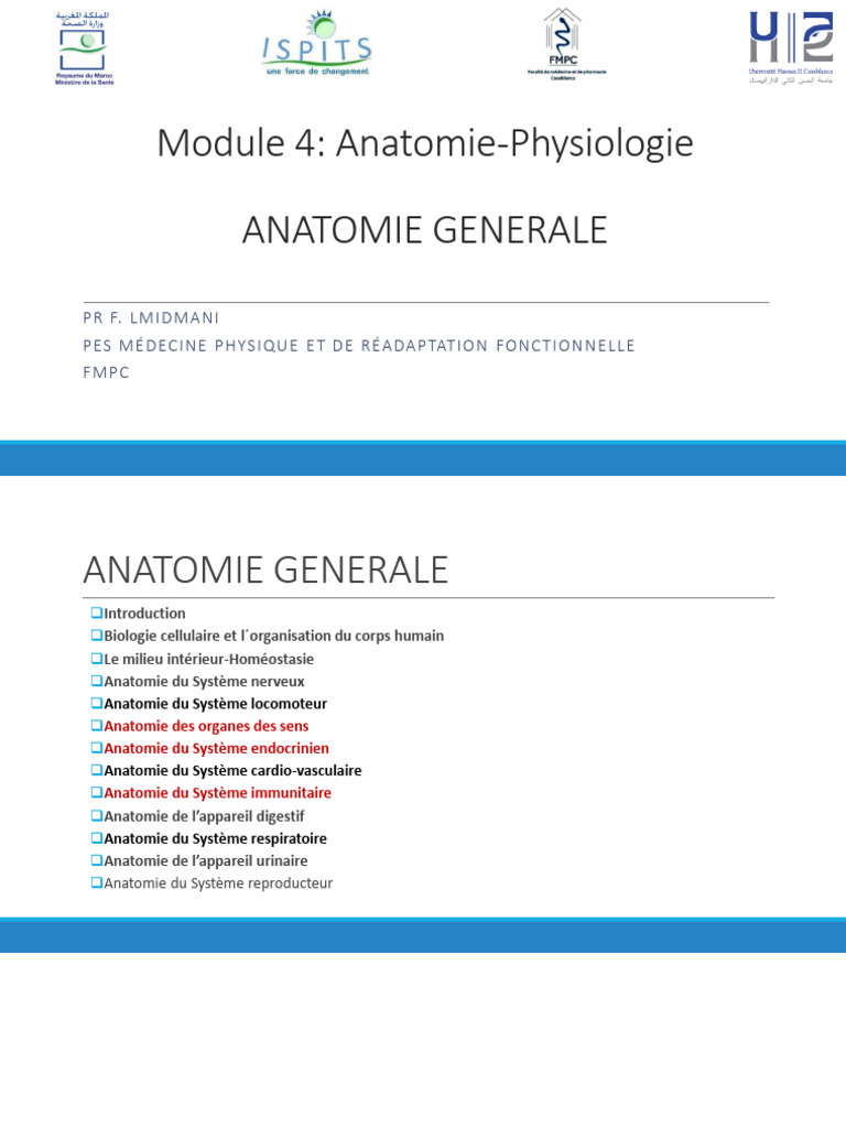 Anatomie et Physiologie des Sens et Systèmes | PDF | Œil humain | Goût