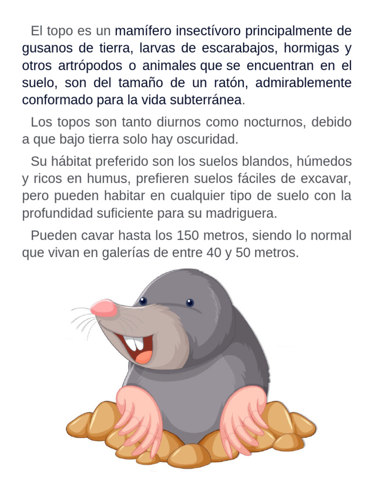 Características del topo: hábitat y comportamiento | PDF